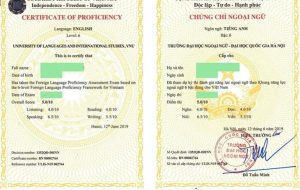 Làm Chứng Chỉ tiếng Anh C2