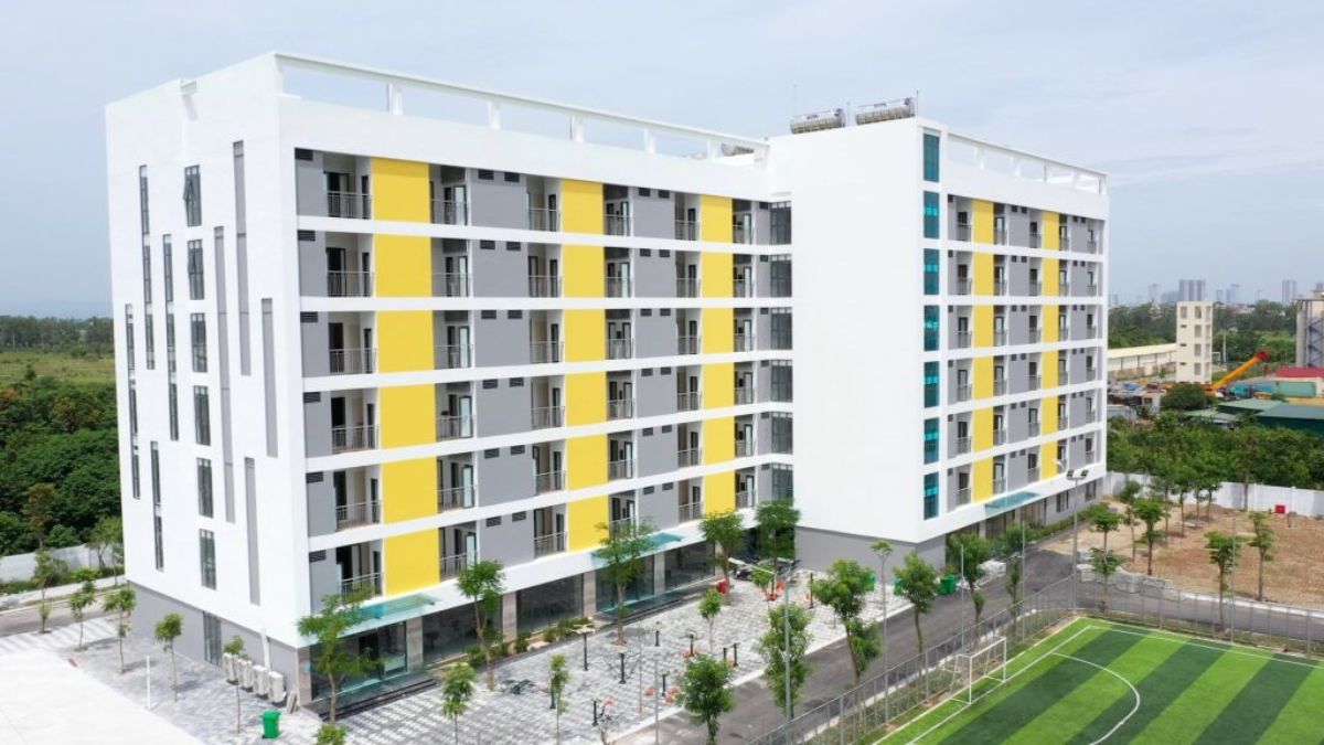 Dịch vụ làm bằng cao đẳng giá rẻ 2025: Thực trạng và cảnh báo