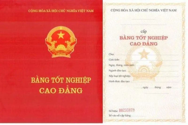 Hướng Dẫn Làm Bằng Cao Đẳng Nhanh Chóng Và Hiệu Quả