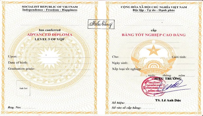 Top 10 địa chỉ làm bằng cao đẳng uy tín tại Hà Nội