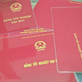 Giá dịch vụ làm bằng cao đẳng tại TP.HCM: Thông tin Lưu ý